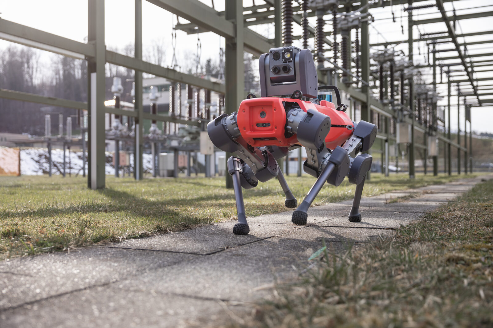 A four-legged autonomous robot walking through an outdoor electrical substation, inspecting the equipment on its own